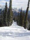 Snow Boarding/Fernie - Canada 2006/DSC07085