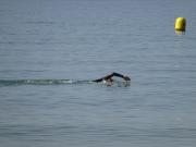 Triathlon/Training/Bournemouth swim/DSC00195