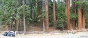 USA/Sequoia National Park/Pano - DSCN1062 - DSCN1066_new