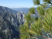 USA/Yosemite Valley/Taft Point/Tuesday 134