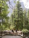 USA/Yosemite Valley/Vernal Fall/DSCN0794