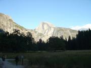 USA/Yosemite Valley/DSC01581