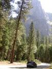USA/Yosemite Valley/DSCN0784