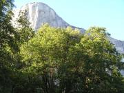 USA/Yosemite Valley/P9180041