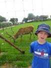 Wales/Noahs Ark Zoo Farm/August 2015/DSC04057