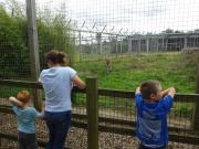 Wales/Noahs Ark Zoo Farm/August 2015/DSC04066