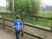 Wales/Noahs Ark Zoo Farm/August 2015/DSC04068